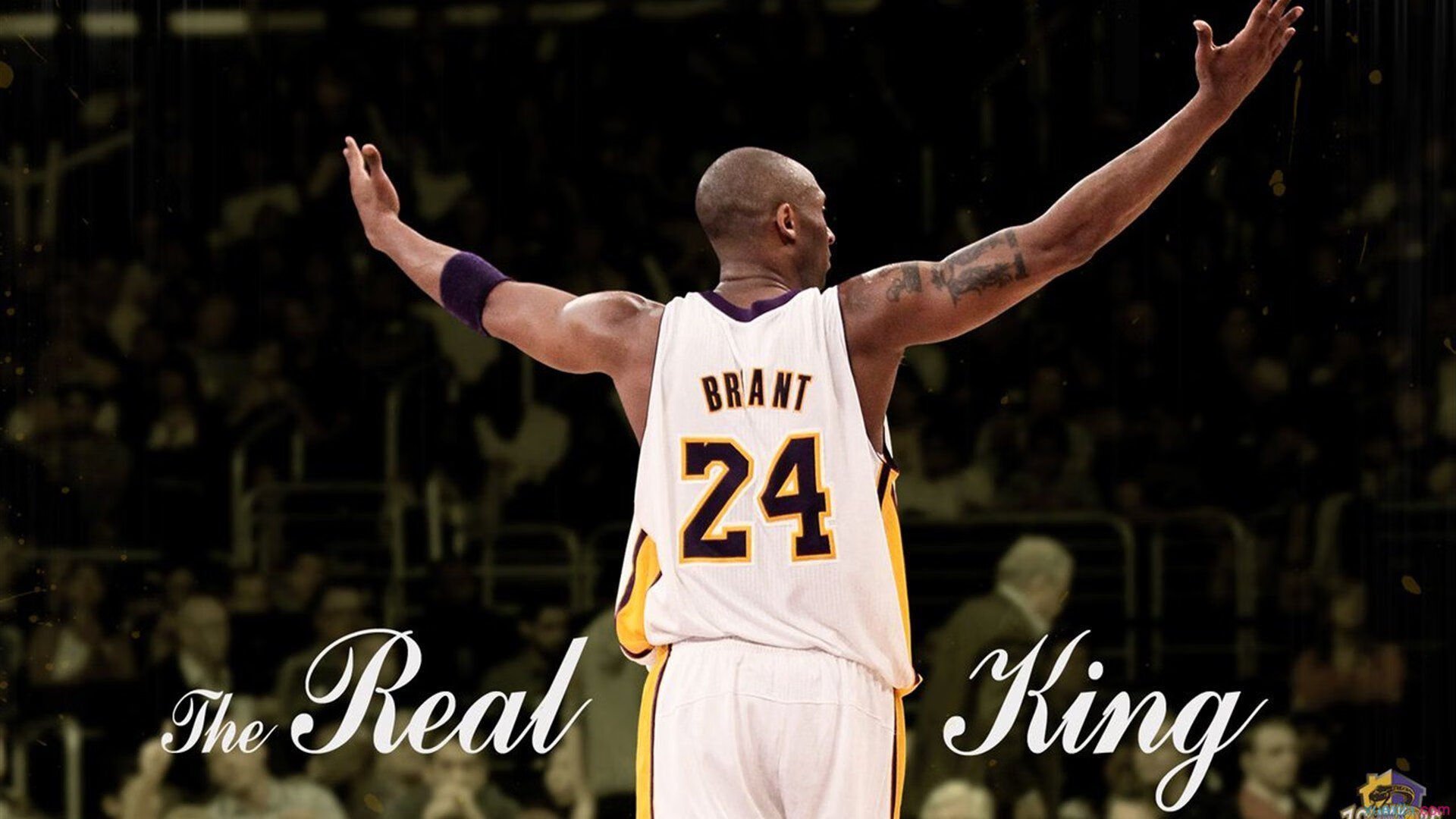 快船队莱padding亮眼,期待季后赛表现,快船队莱昂纳多